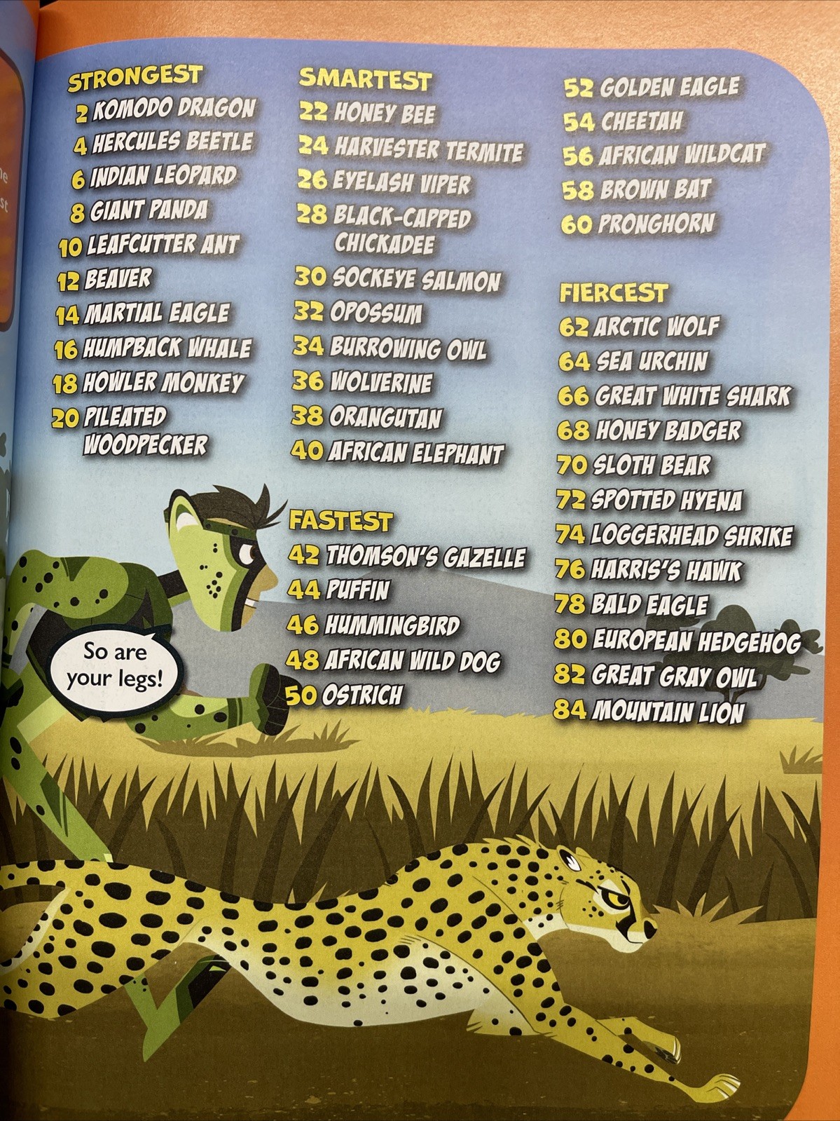 WILD KRATTS Magazines 2025 CREATURE POWER GAMES ! Puzzles Games Much More