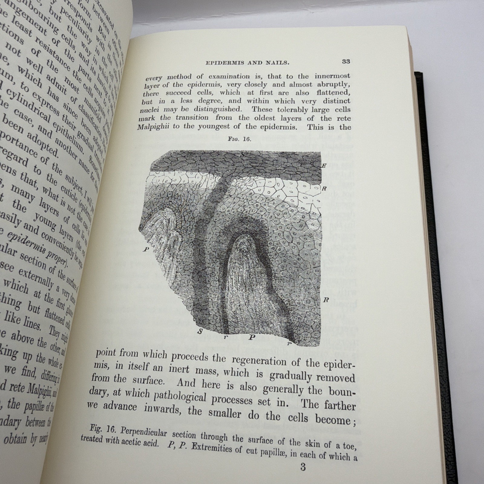 Cellular Pathology by Rudolph Virchow The Classics of Medicine Library