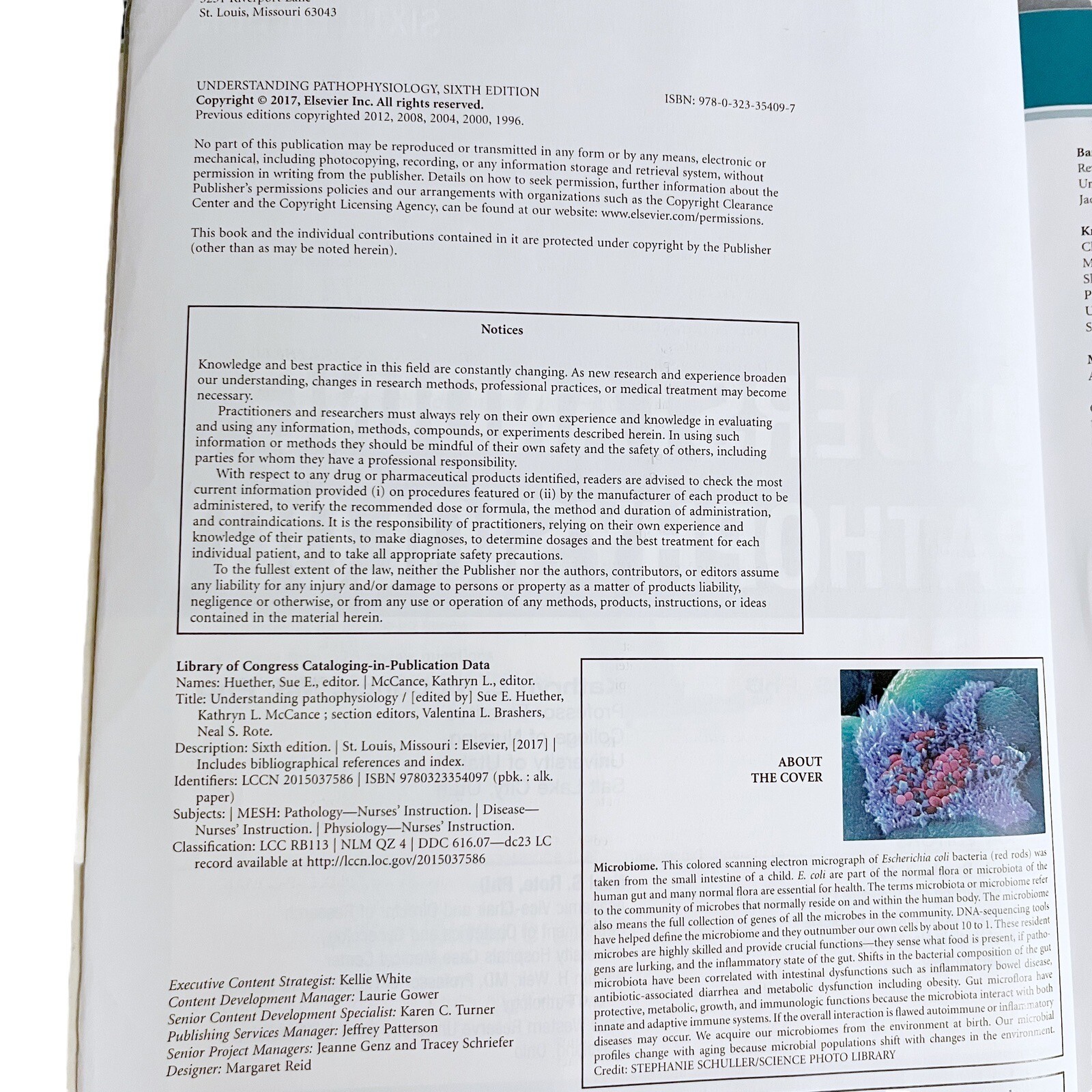 Understanding Pathophysiology Sixth Edition by Kathryn L. McCance Paperback
