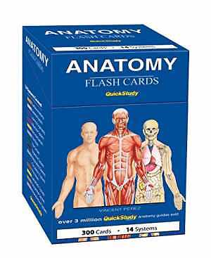 Anatomy Flash Cards: a QuickStudy Reference – Cards, by Perez Vincent – Good