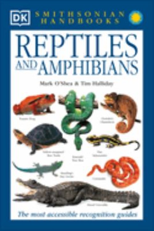 Reptiles and Amphibians : The Most Accessible Recognition Guide