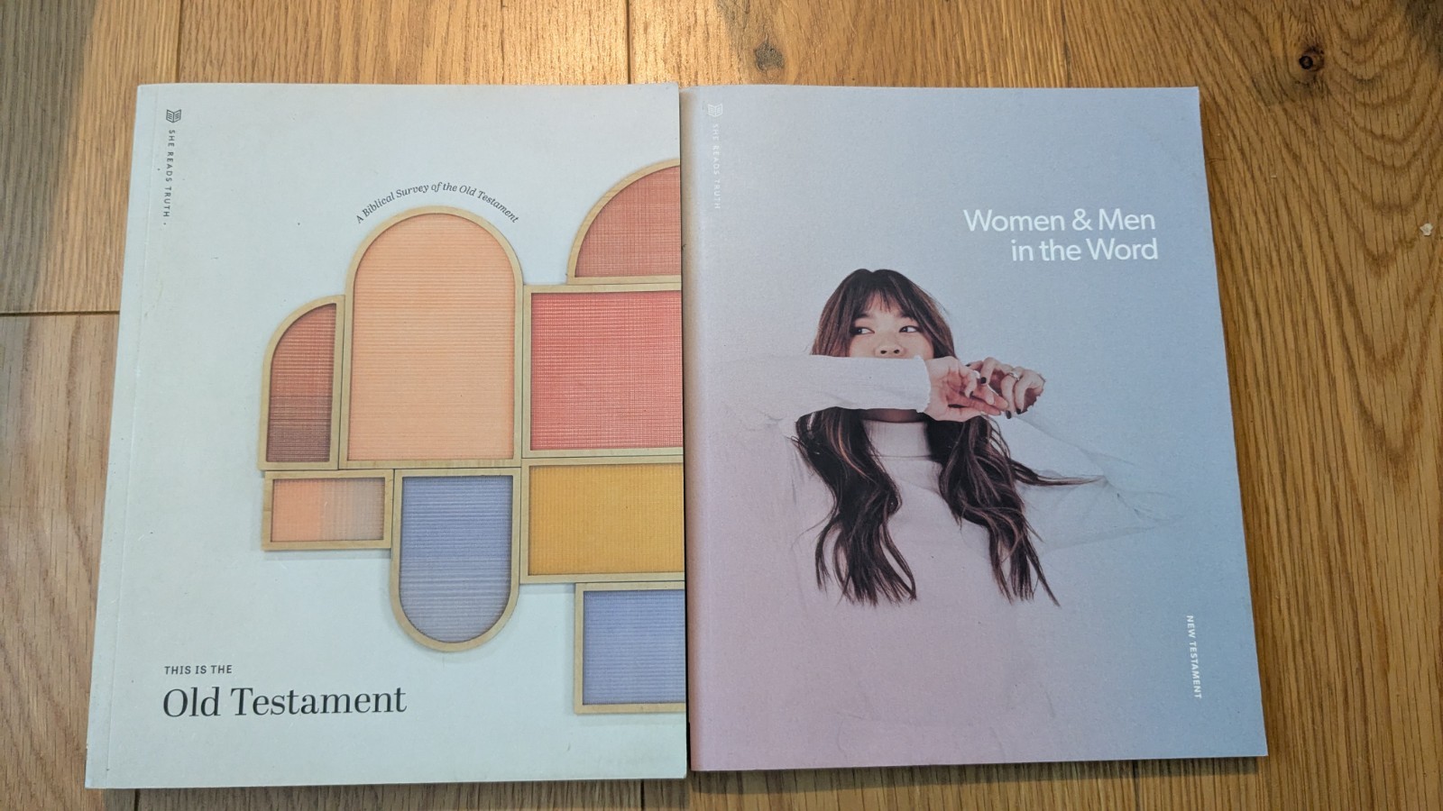 She Reads Truth : Old and New Testament Studies Lot Of 2