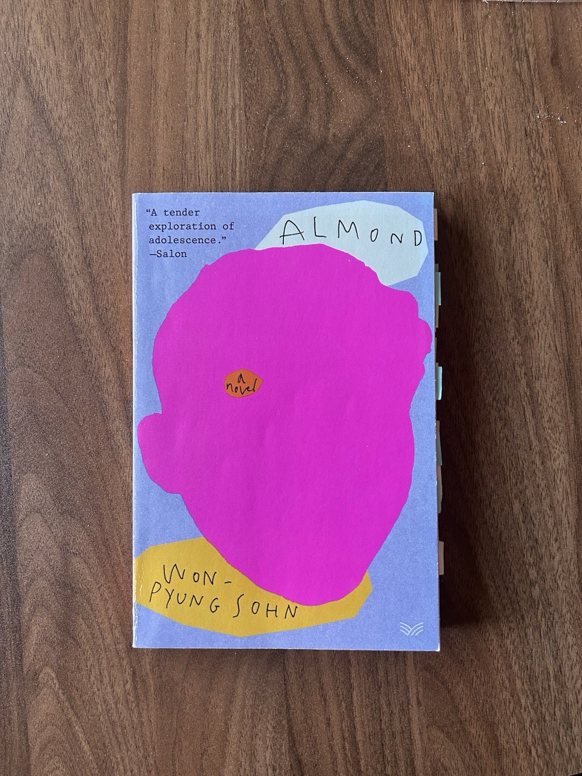 Almond : A Novel by Won-Pyung Sohn (2021, Trade Paperback)