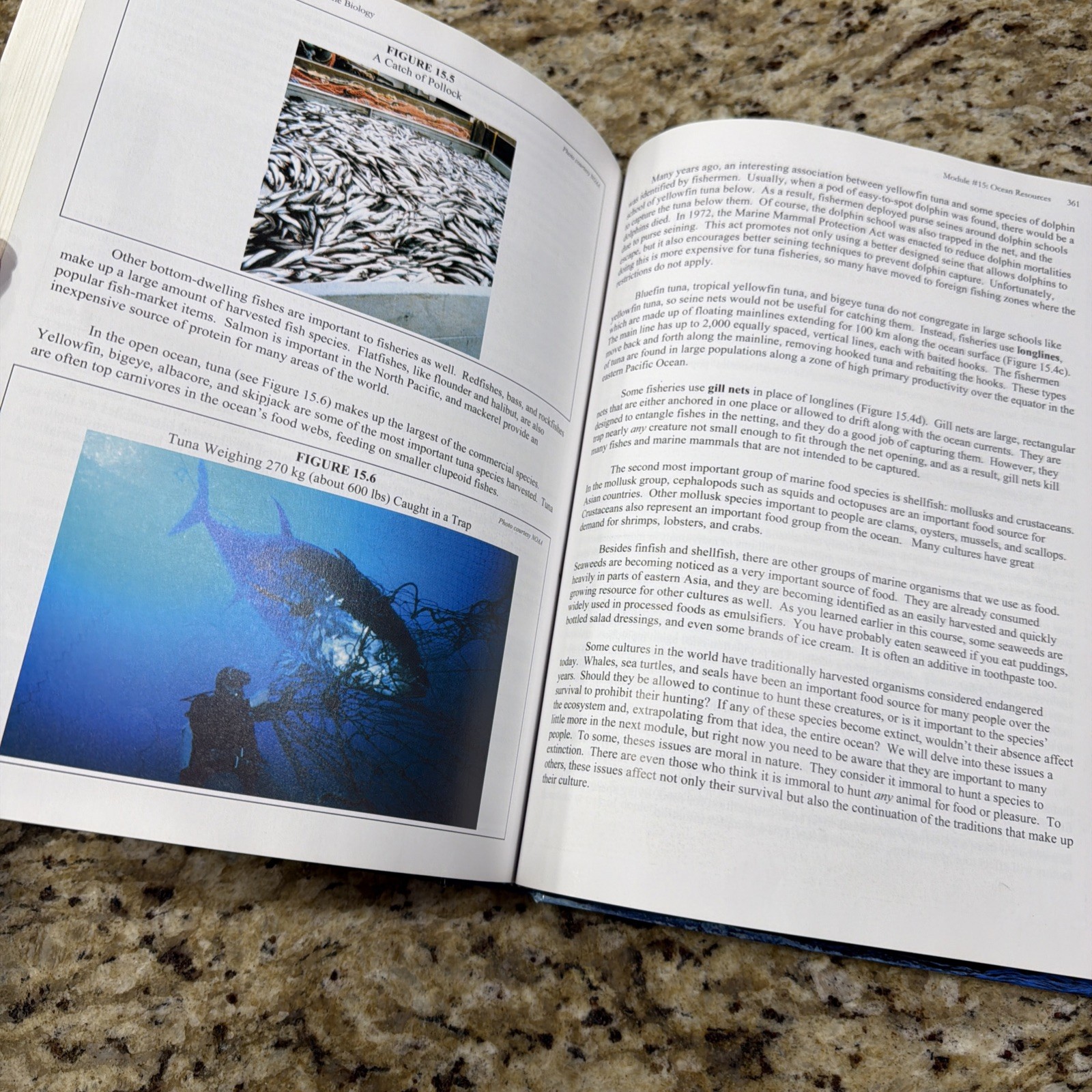 Exploring Creation Marine Biology : Student Text by Sherri Seligson -Apologia
