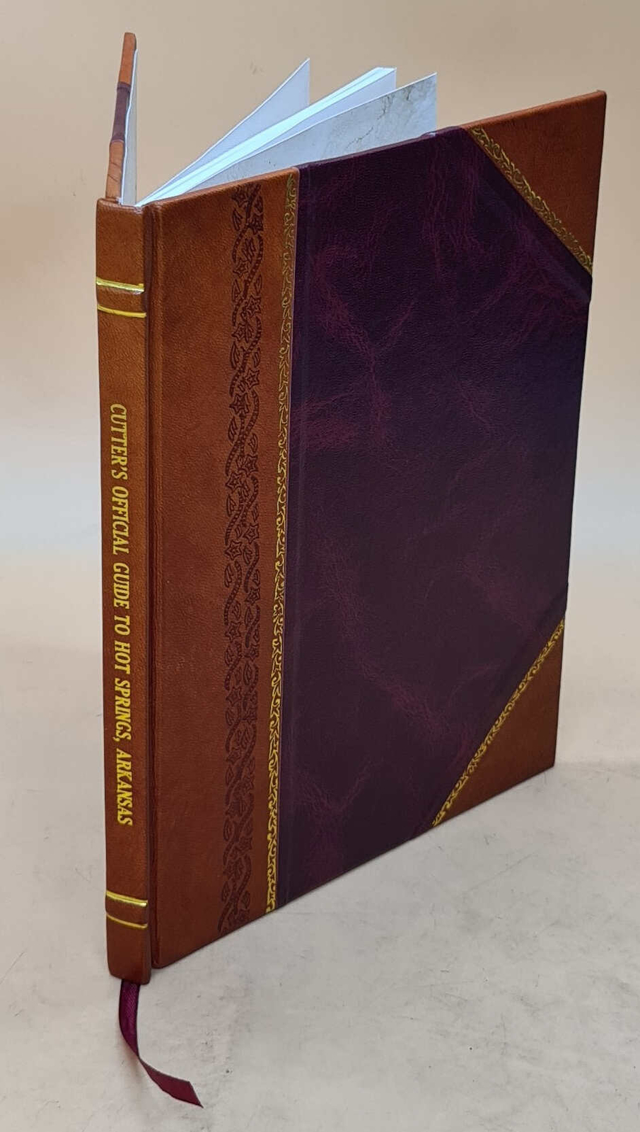 Cutter&rsquo;S Official Guide To Hot Springs, Arkansas 1914 [Leather Bound]