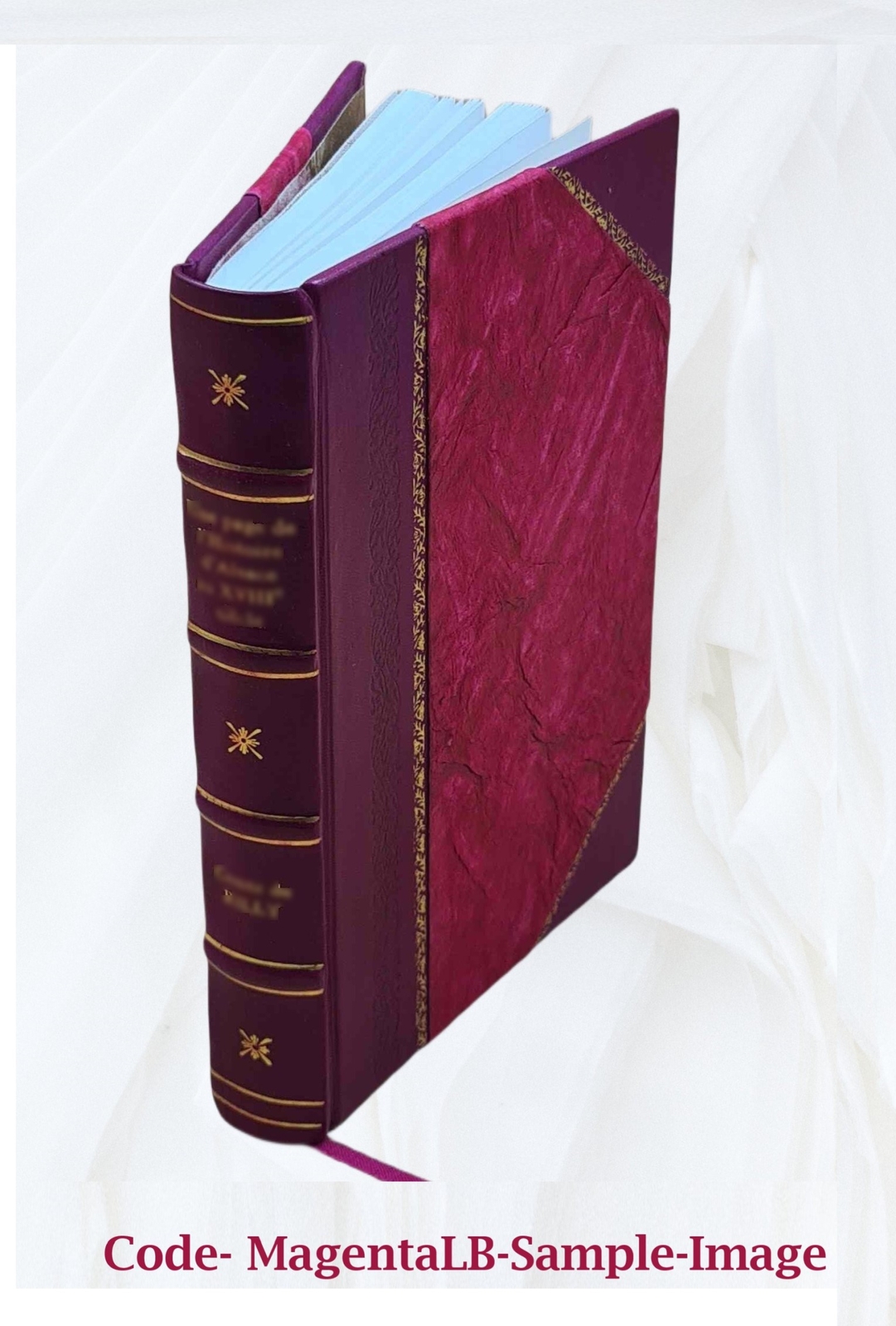 The Travis (Travers) Family And Its Allies : Darrocott, Lewis, L [Leather Bound]