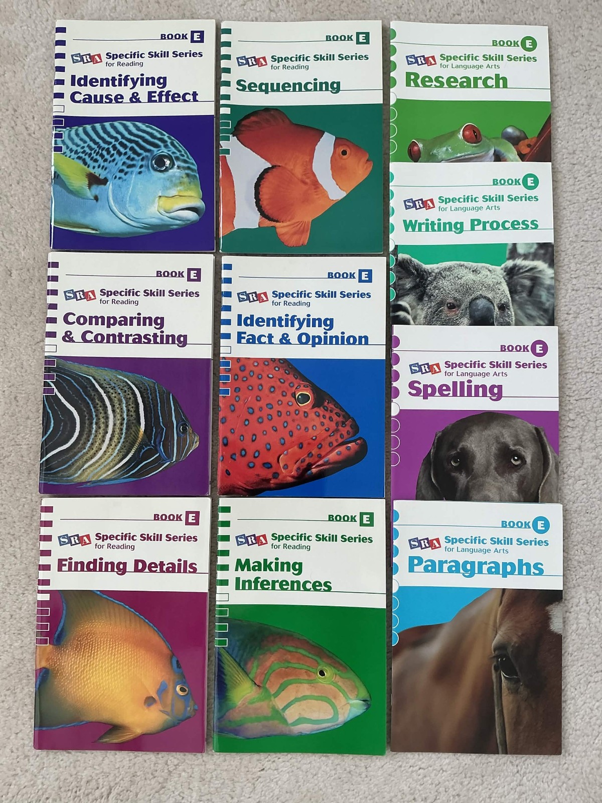 SRA Specific Skill Series Level E Mix Set Of 10
