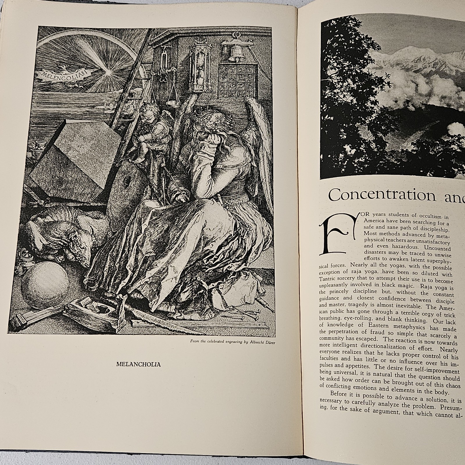 1931-32 Vintage Occult Book: The Phoenix By Manly Hall Limited Edition /3000