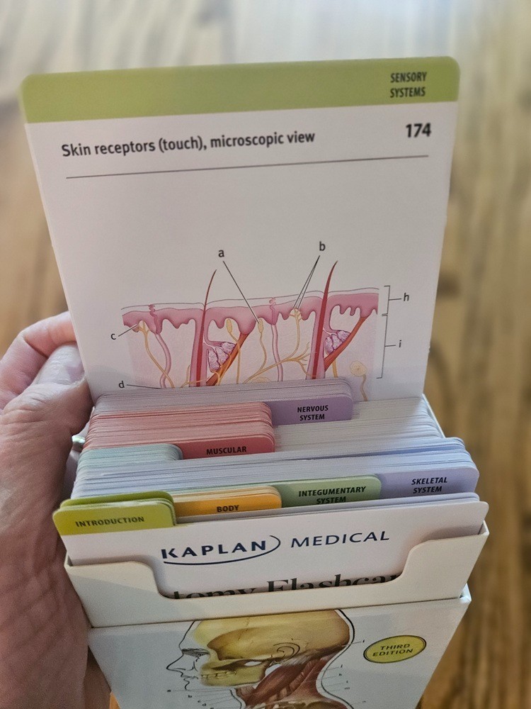 Kaplan Medical Anatomy Flashcards Third Edition-Complete