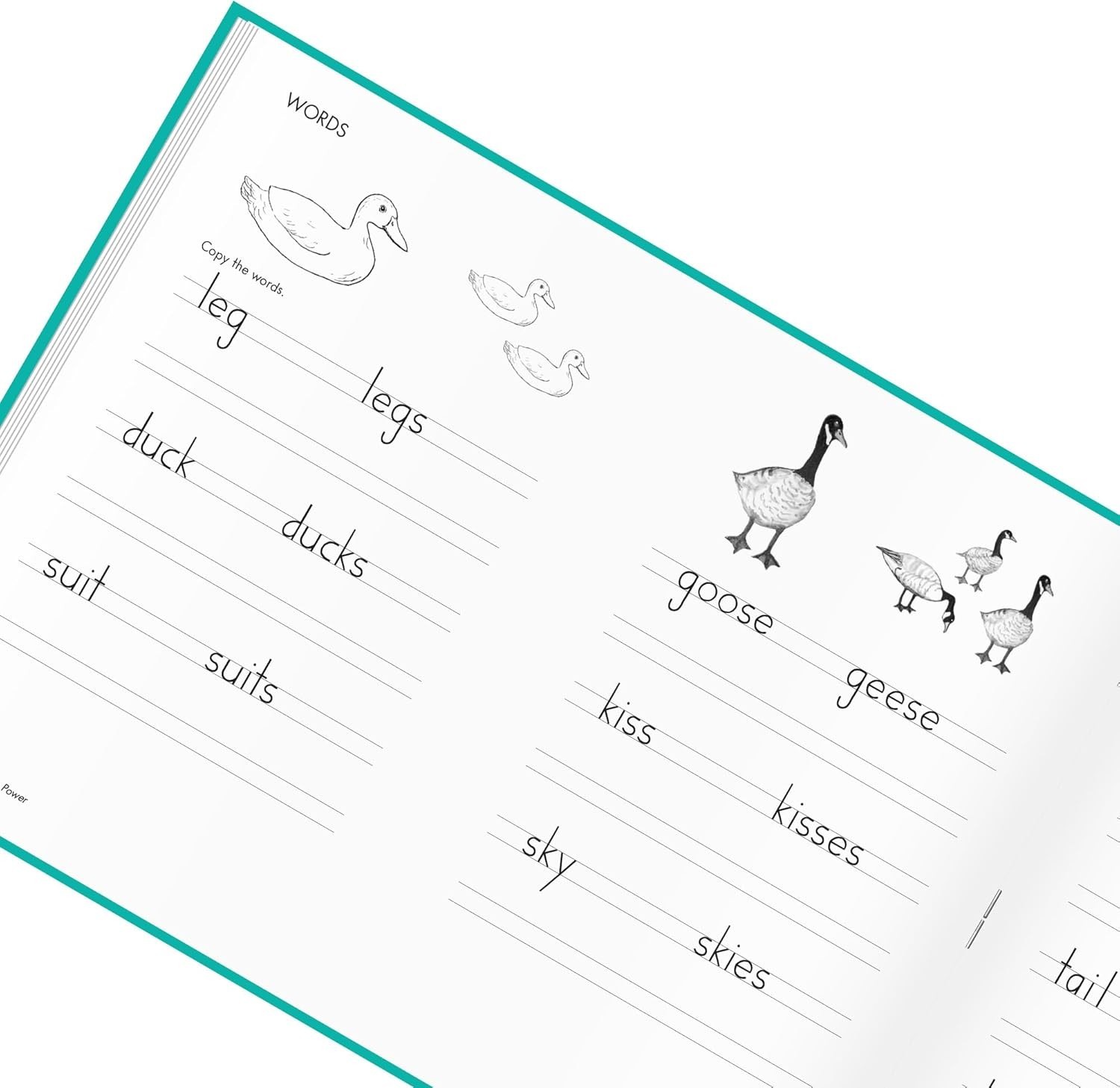 Printing Power, Student Workbook, Age 7+, 2nd Grade+, Handwriting Practice, W…