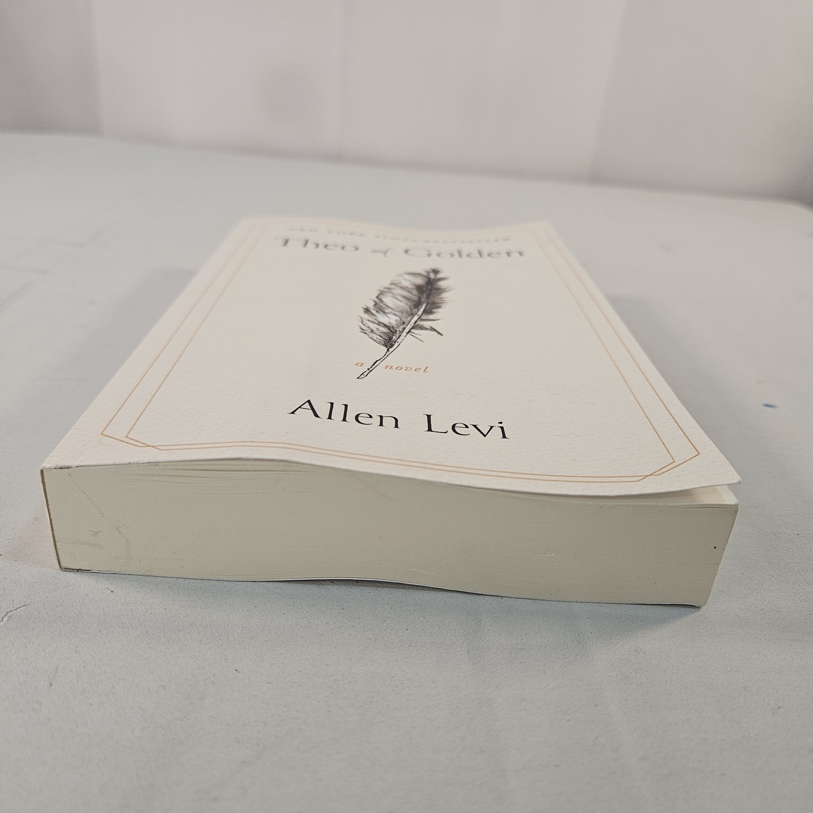 Theo of Golden : A Novel by Allen Levi (2025, Trade Paperback)