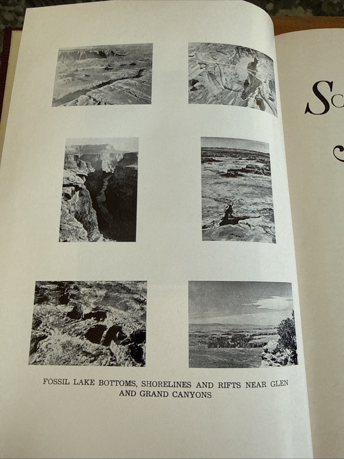 Science And Mormonism: Correlations, Conflicts and Conciliations Cook 1967 HBDJ