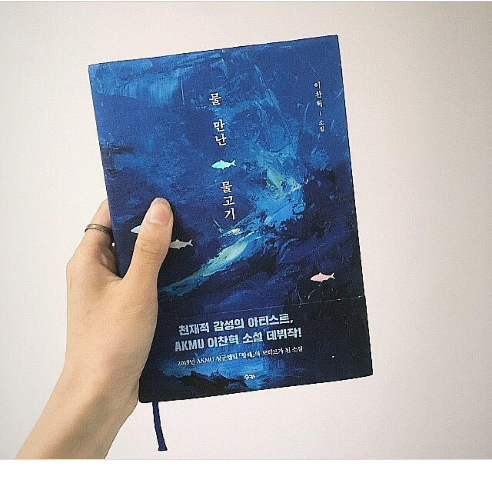 Lee Chan Hyuk First Novel 200Page Duo AKMU Korean Singer Tracking No New물 만난 물고기