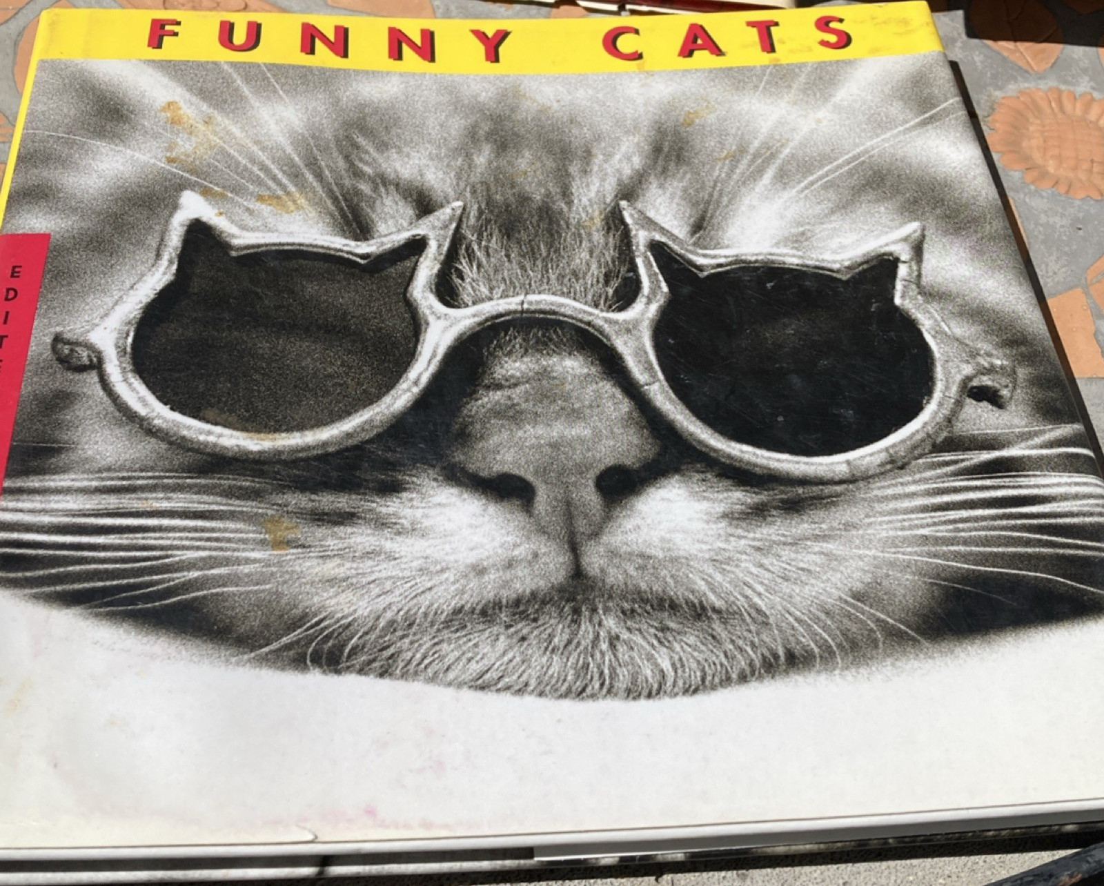 Funny Cats J. C. Suares Hardcover 1995 Stewart Tabori Chang Illustrated Humor