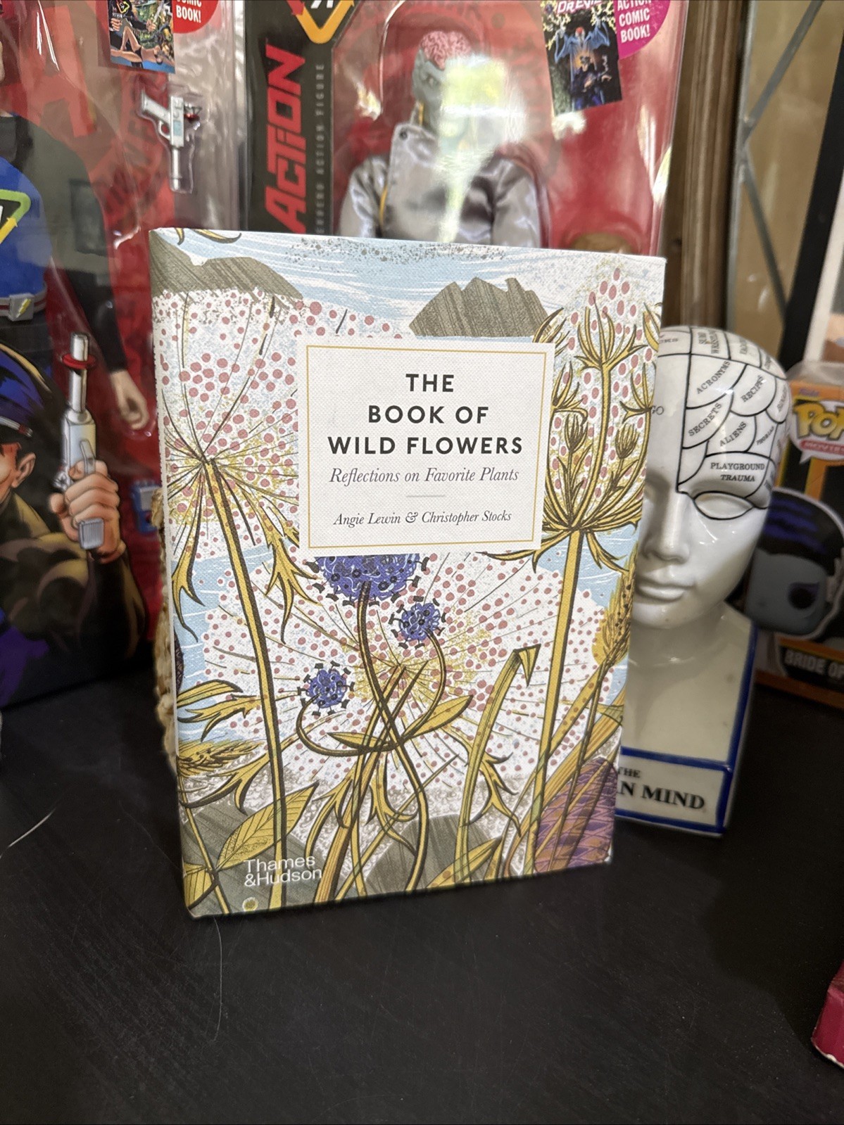 Book of Wild Flowers : Reflections on Favorite Plants by Lewin & Stocks HC DJ