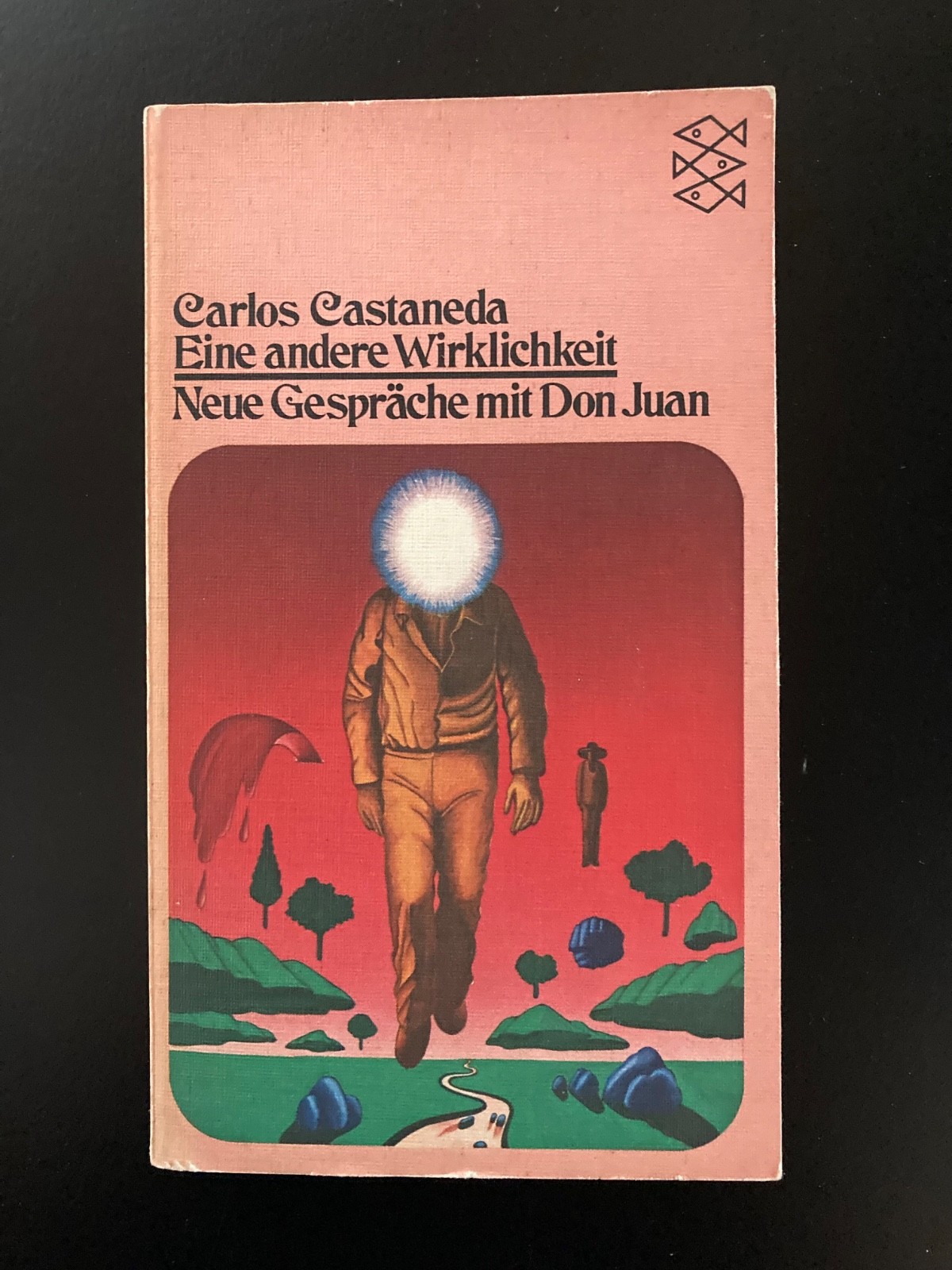 A SEPARATE REALITY CARLOS CASTANEDA 1971/1975 PB IN GERMAN FISCHER TASCHENBUCH X