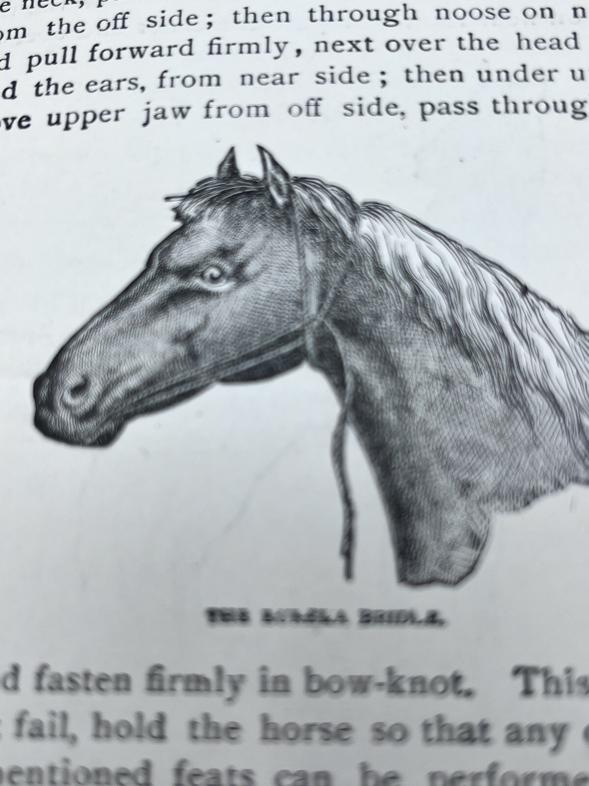1918 HOW to HANDLE & EDUCATE VICIOUS HORSES-205 Pages-Oscar Gleason-Illustrated