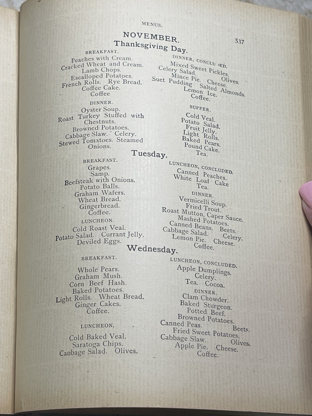 The Home Queen Cook Book 1898 Recipes Menus Housekeeping Laundry 608 Pages