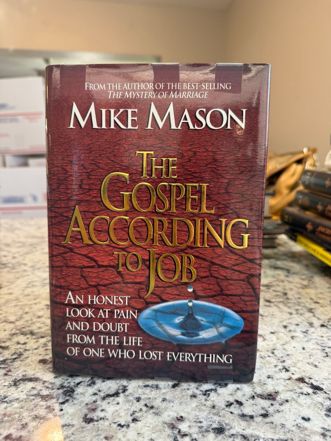 Gospel According to Job Mike Mason 1994 First Printing Christian Nonfiction