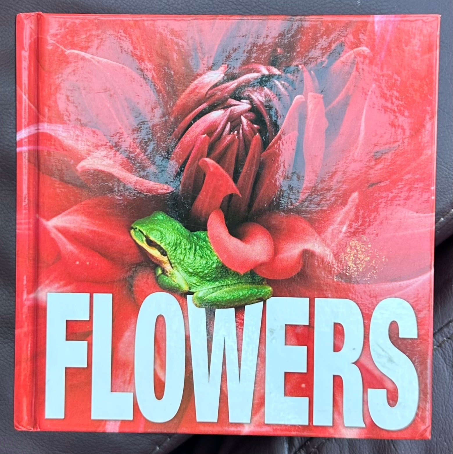 NOS Flowers Cube book Valeria Manferto De Fabianis Hardback 736 page color photo