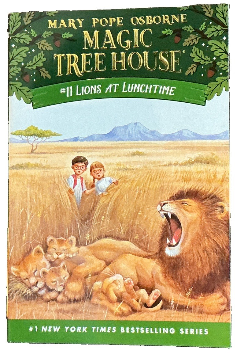 Mary Pope Osborne Magic Tree House Books 9-12 Box Set, Ages 4-8 (English)