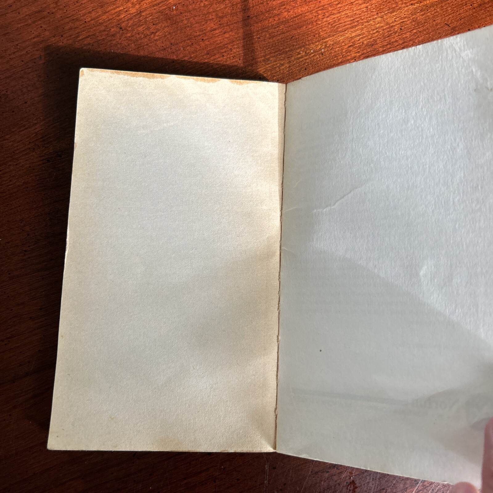 Wide Sargasso Sea by Jean Rhys (1966, Trade Paperback 1st edition )