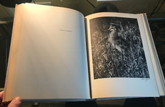 Wildfowling with a Camera, LORENE SQUIRE, 1938, HARDCOVER, NO dj, GREAT PHOTOS