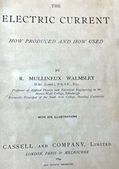 1894 First Edition The Electric Current Walmsley Tesla Edison 379 Illustrations