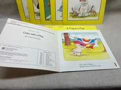 Modern Curriculum Press Phonics Practice Readers Series C Set 1 – NOS