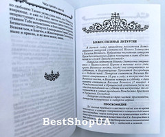 ПОЛНЫЙ ПРАВОСЛАВНЫЙ МОЛИТВОСЛОВ на всякую потребу Russian BIBLE Библия