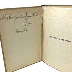The Gaunt Gray Wolf Dillon Wallace
