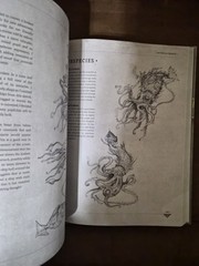 Mythical Beasts: An Artist&rsquo;s Field Guide to Designing Fantasy Creatures 3dtotal