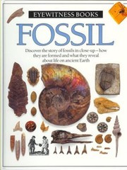 Fossil Paul D Taylor