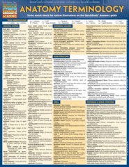 Anatomy Terminology (Quick Study Academic) – Pamphlet By BarCharts, Inc. – GOOD