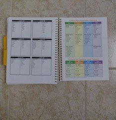 Leveled Literacy Intervention (LLI) Lesson Guide- Gold Volume 2 Levels Q-T