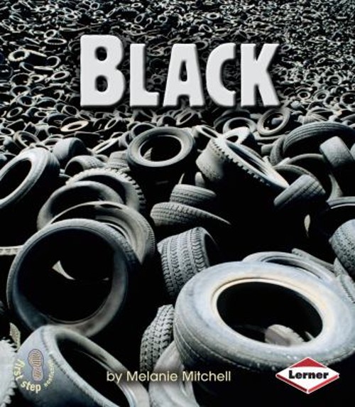 Black Paperback Melanie Mitchell