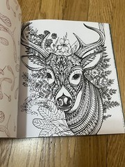Forestcore Coloring Book 128 Pages Forest to Life Deer Mushrooms Butterflies Art