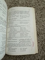ADVANCED RUSSIAN By Alexander D. Nakhimovsky 382 Pages 1980 Paperback