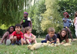 Colonie de vacances, séjours vacances, enfants, animaux de la ferme : Ingrannes dans le Loiret, été 2016