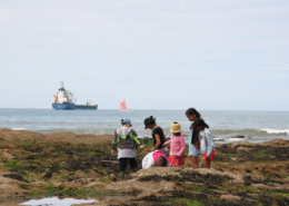 Classe de découvertes, centre vacances, classe de mer, pêche à pied