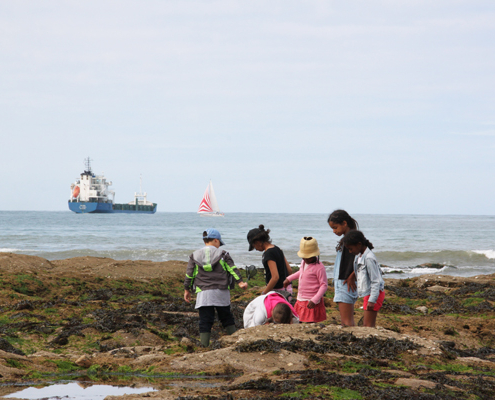 Classe de découvertes, centre vacances, classe de mer, pêche à pied