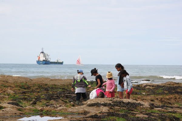 Classe de découvertes, centre vacances, classe de mer, pêche à pied