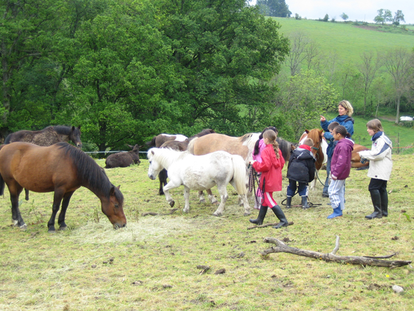 Classe de découvertes, centre vacances, classe de campagne, équitation