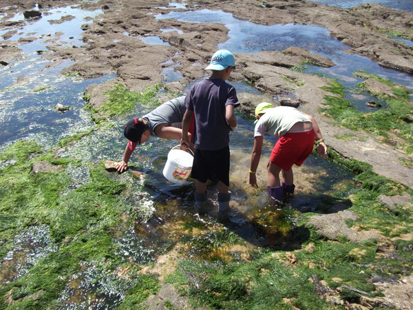 Classe de découvertes, centre vacances, classe de mer, pêche à pied