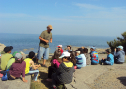 Classe de découvertes, centre vacances, classe de mer, Pénestin : lecture du paysage