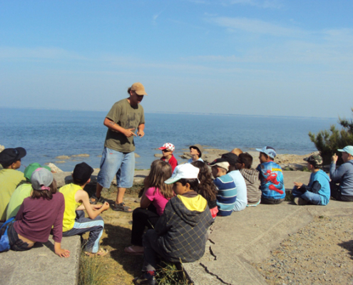 Classe de découvertes, centre vacances, classe de mer, Pénestin : lecture du paysage