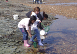 Classe de découvertes, centre vacances, classe de mer, saint Jean de Monts : pêche à pied