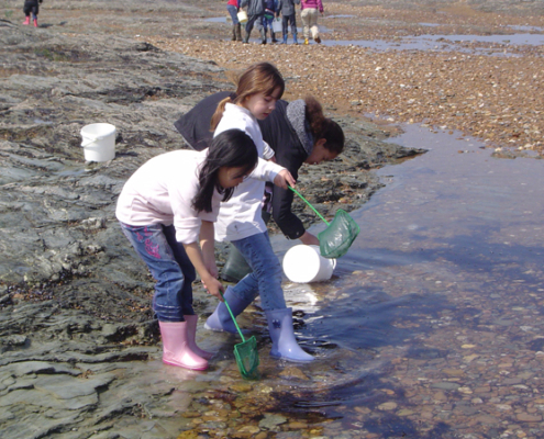 Classe de découvertes, centre vacances, classe de mer, saint Jean de Monts : pêche à pied