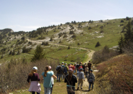 Classe de découvertes, centre vacances, classe de montagne, Lans en Vercors : randonnée