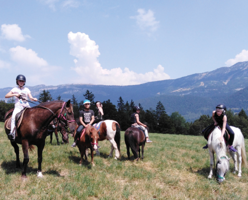 colonie de vacances sejour enfant lans en vercors a cheval dans le vercors 6-12 ans OUL